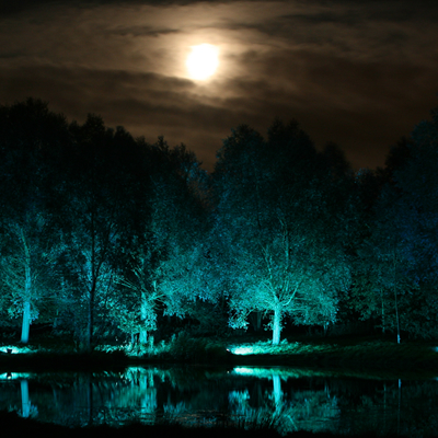 Outdoor Wedding Lighting