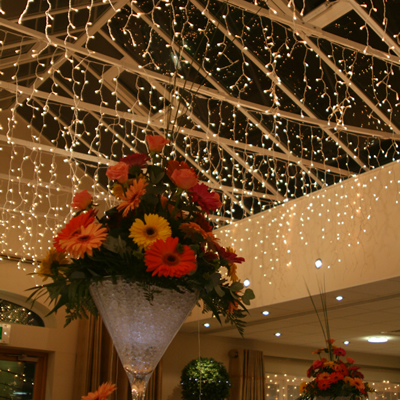 wedding fairy lights